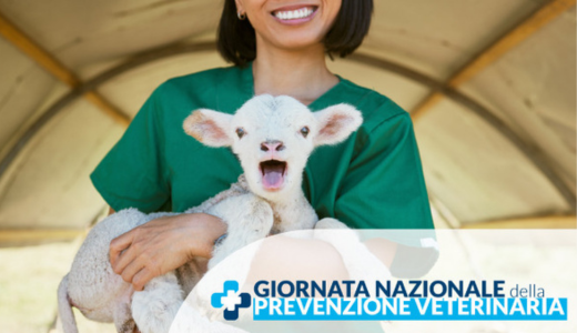 Prevenzione Veterinaria